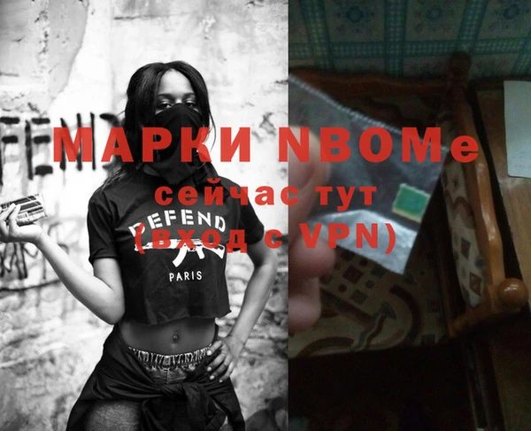 стаф Абаза