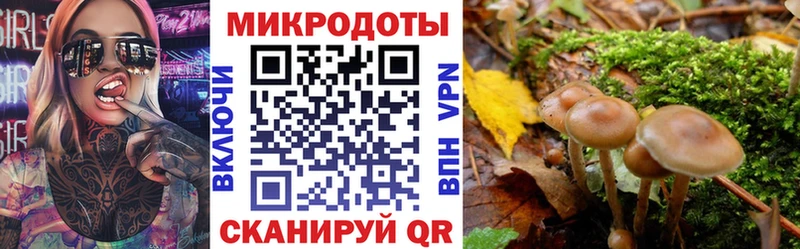 купить наркотик  Ханты-Мансийск  Псилоцибиновые грибы Psilocybine cubensis 